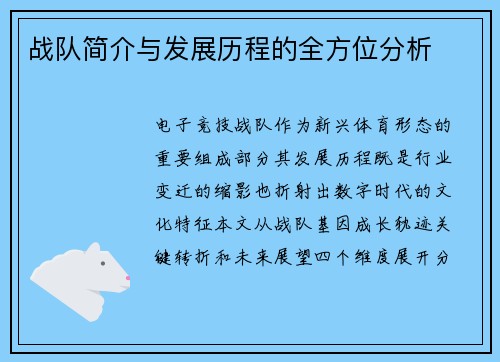 战队简介与发展历程的全方位分析