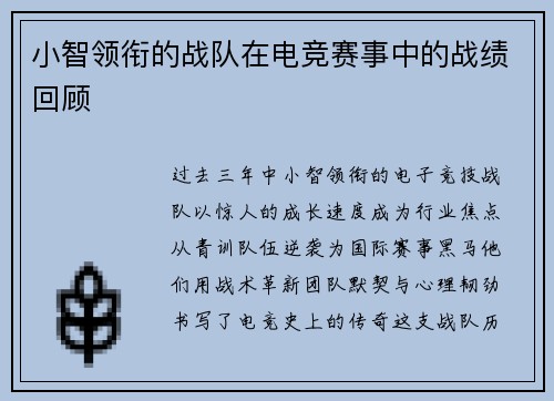 小智领衔的战队在电竞赛事中的战绩回顾